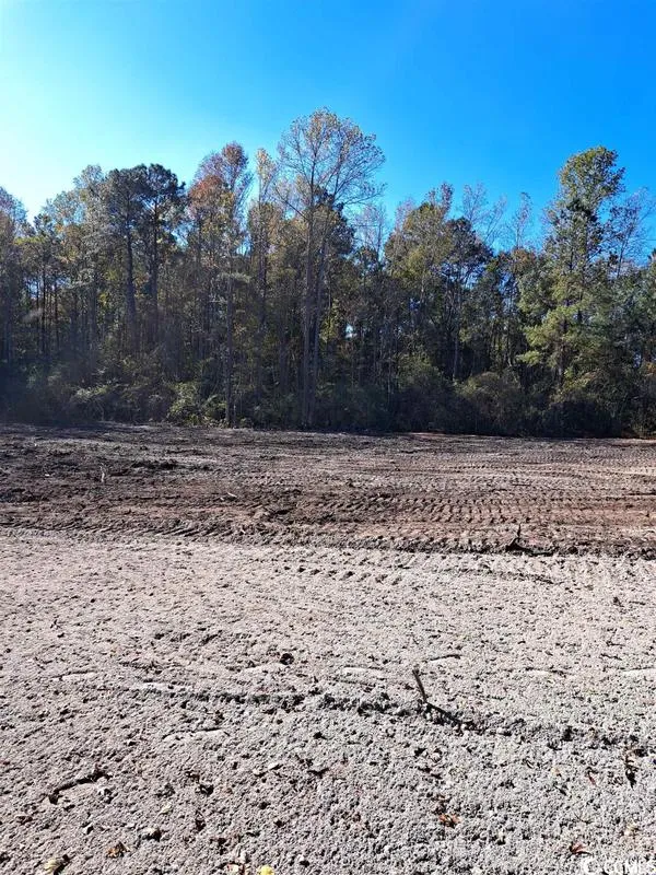 2966 B Highway, Conway, SC 29526 for Sale