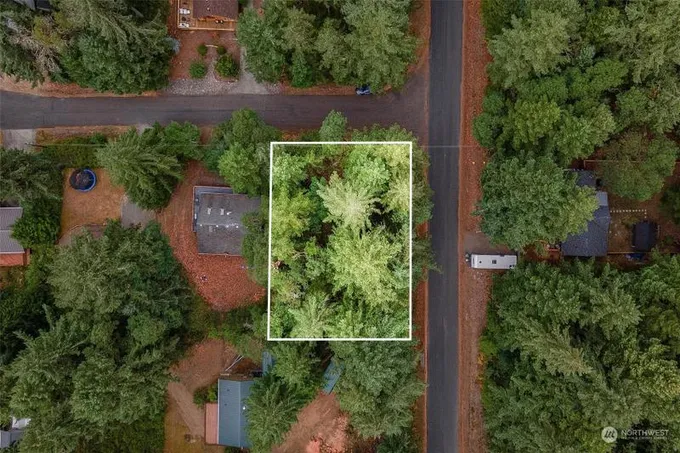 10808 Sunfish Place, Anderson Island, WA 98303 for Sale
