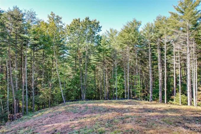 Nebo, Mc Dowell County, NC Undeveloped Land, Homesites for sale Property ID: 416517870