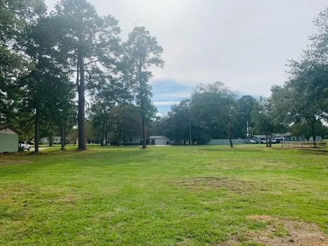 0 Country Woods Trl, Magnolia, TX 77355 for Sale