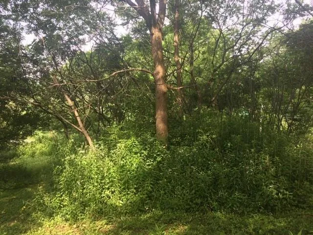 LOT 1 HWY D, Colfax, WI 54730 Single Family Residence For Sale  MLS# 1573015