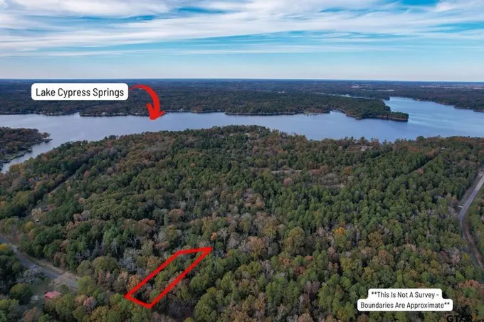 Scroggins, Franklin County, TX Undeveloped Land, Homesites for sale Property ID: 418404697