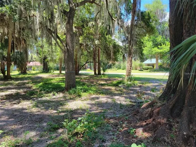 1 Northwest 217th Street, Micanopy, FL 32667 for Sale