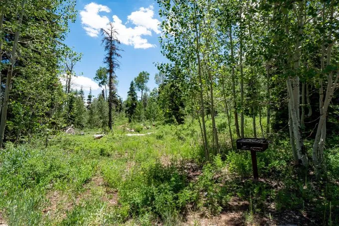 Virgin, Washington County, UT for sale Property ID: 416933004