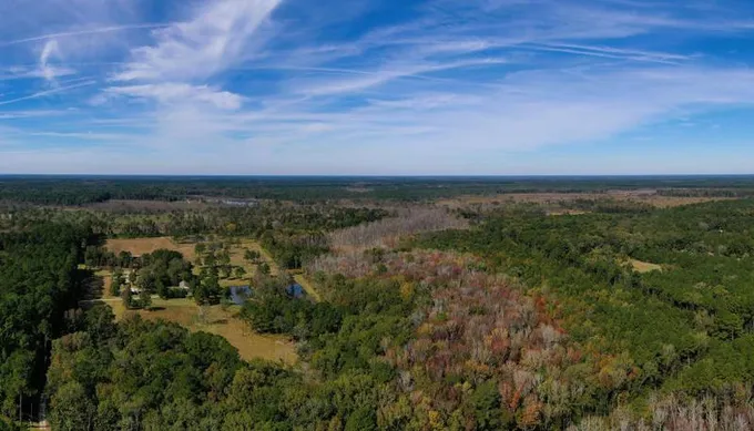 Adams Run, Charleston County, SC House for sale Property ID: 418118806