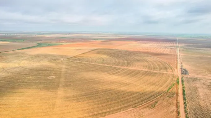 Sudan, Lamb County, TX Farms and Ranches for sale Property ID: 417009152