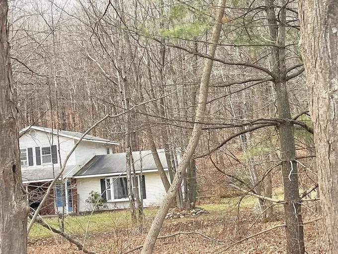 Mountain, SHAFTSBURY, VT 05262  617508252 for Sale