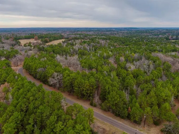 Mineola, Wood County, TX Undeveloped Land, Homesites for sale Property ID: 418546908