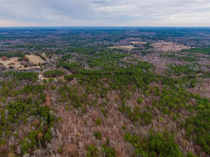 Mineola, Wood County, TX Undeveloped Land for sale Property ID: 418546907