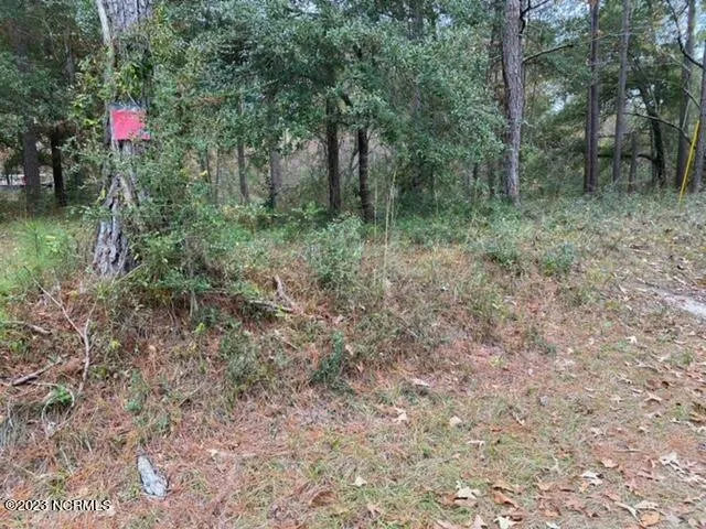 2419 ZION HILL RD SE, Bolivia, NC 28422 Land For Sale  MLS# 100417122