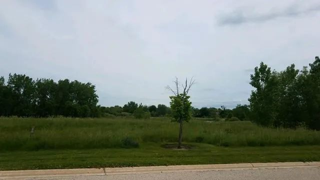19998 West Old Meadow Trail, Long Grove, IL 60047 for Sale