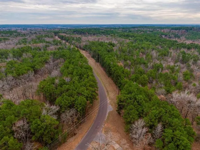 Mineola, Wood County, TX Undeveloped Land for sale Property ID: 418546905