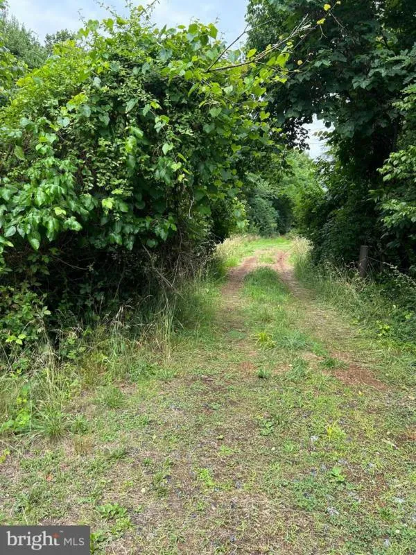 19836 YOUNGS CLIFF RD, STERLING, VA 20165 Land For Sale  MLS# VALO2050408