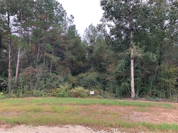 388 Iron Horse Rd, New Waverly, TX 77358 for Sale