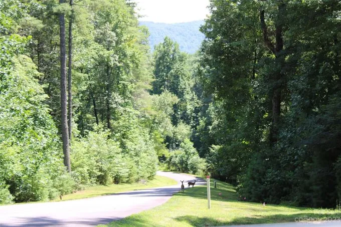 Brevard, Transylvania County, NC Undeveloped Land, Homesites for sale Property ID: 417562928