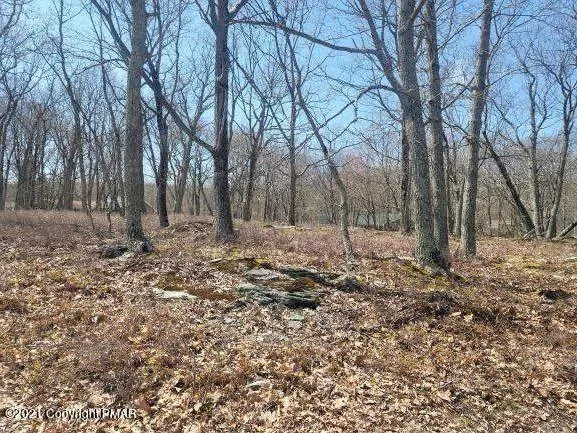 Bushkill, Pike County, PA Undeveloped Land, Homesites for sale Property ID: 410067666