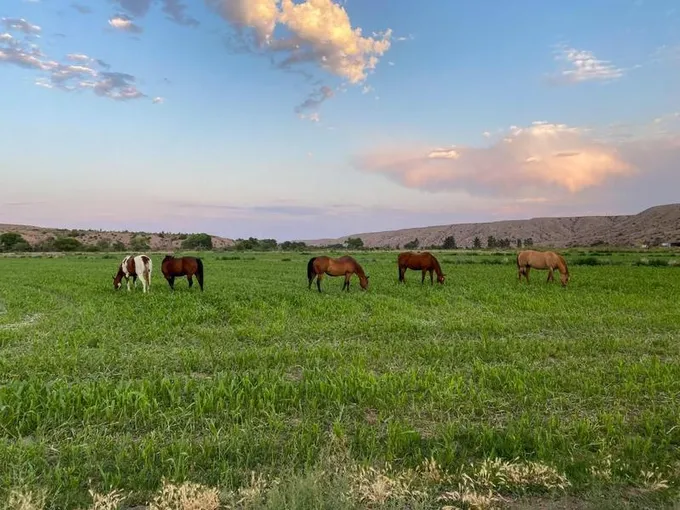 Monticello, Sierra County, NM Farms and Ranches, Recreational Property, Hunting Property for sale Property ID: 418642255