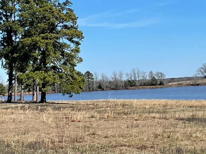 Tract 35 CR 4025, Crockett, TX 75835 for Sale