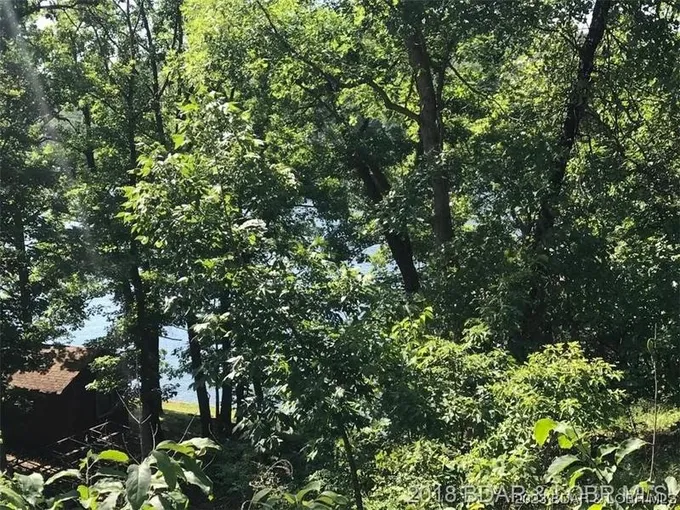 Lot 3 Swaying Oak Drive, Roach, MO 65787 for Sale