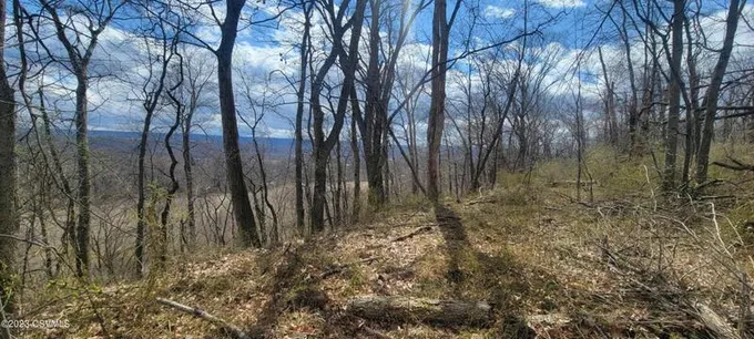 RUCKLE HILL ROAD, Berwick, PA 18603 Land For Sale  MLS# 20-93734