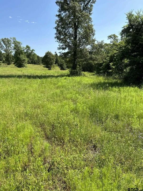 TBD Ridgeline Lp, Winona, TX 75792 for Sale