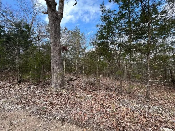 Lead Hill, Boone County, AR Undeveloped Land, Homesites for sale Property ID: 416125274
