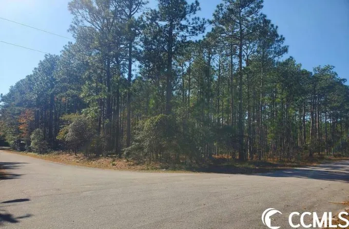 430 ARNOLD ST. Shallotte, NC 28470 Multi Family For Sale  MLS# 2324561