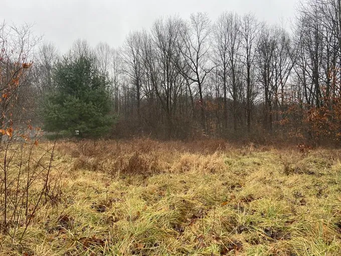 0 Critter Lane, Freedom, IN 47431 for Sale