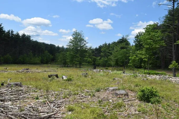 Cairo, Greene County, NY Undeveloped Land for sale Property ID: 416533296