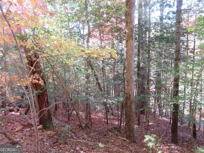 0 Corinth Church Road, Cleveland, GA 30528 for Sale