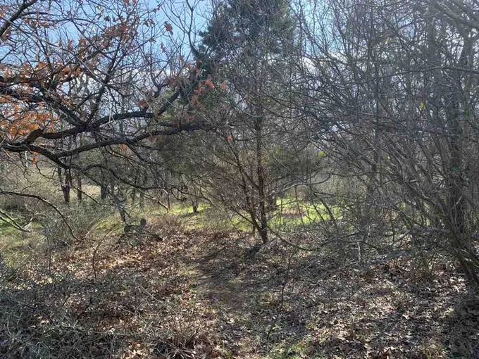 283-289 Aspermont Street, Kingsland, TX 78639 for Sale