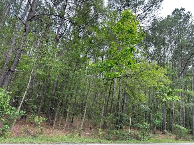 Summerville, Dorchester County, SC Undeveloped Land, Homesites for sale Property ID: 418426693
