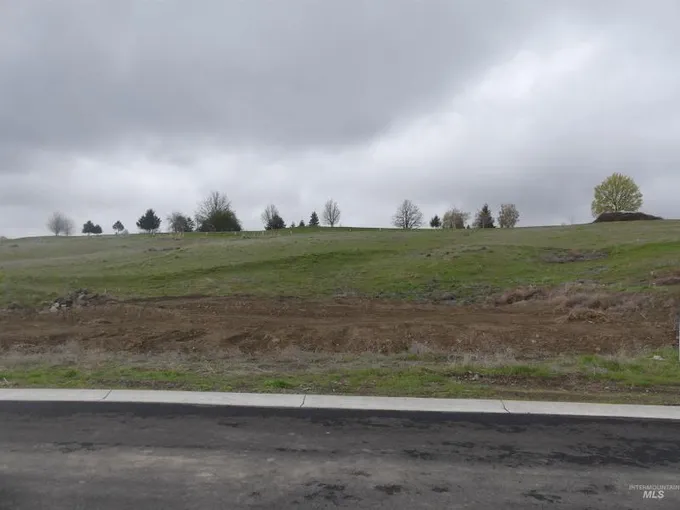 Lewiston, Nez Perce County, ID Undeveloped Land, Homesites for sale Property ID: 413261968