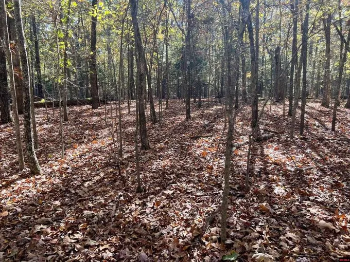 Bull Shoals, Marion County, AR Undeveloped Land, Homesites for sale Property ID: 418156278
