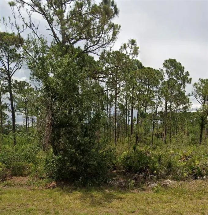 13494 Lynbrook Avenue, Port Charlotte, FL 33953 for Sale