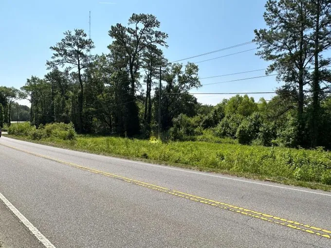 Summerville, Dorchester County, SC Undeveloped Land for sale Property ID: 418426697