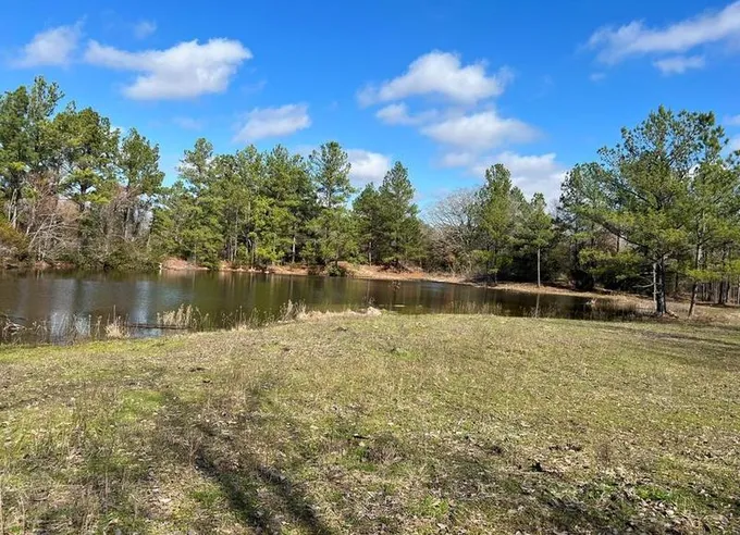 0 FM 405, Riverside, TX 77367 - MLS 83440981 for Sale