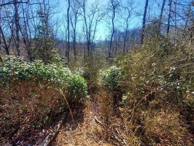 Elkin, Wilkes County, NC Undeveloped Land, Homesites for sale Property ID: 415899609
