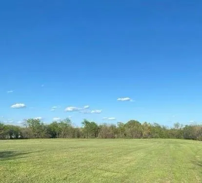 TBD CR 1018 E County Road 1018 Road, Mount Vernon, TX 75457 for Sale
