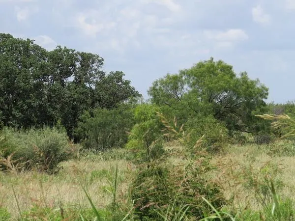 Eden, Concho County, TX Farms and Ranches, Recreational Property, Hunting Property for sale Property ID: 417366283