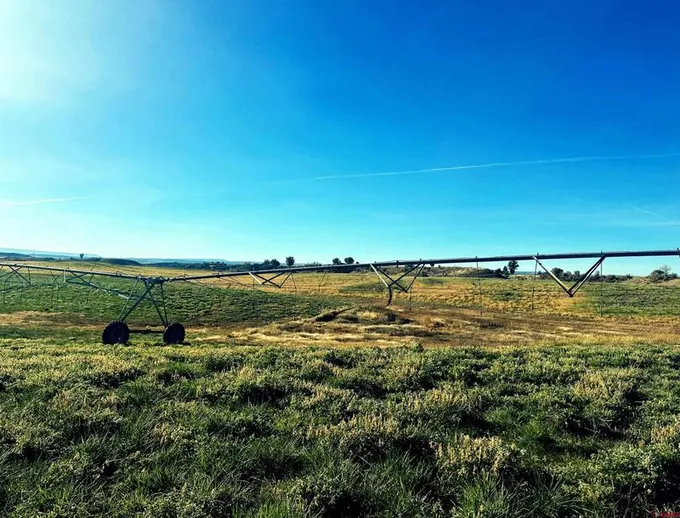 9845 3775th Road, Hotchkiss, CO 81419 for Sale