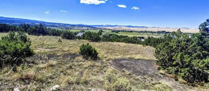 Eagar, Apache County, AZ Homesites for sale Property ID: 417590324