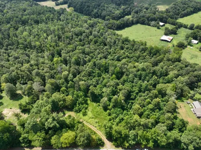 0 PATTERSON RD, Woodlawn, TN 37191 Land For Sale  MLS# 2580121