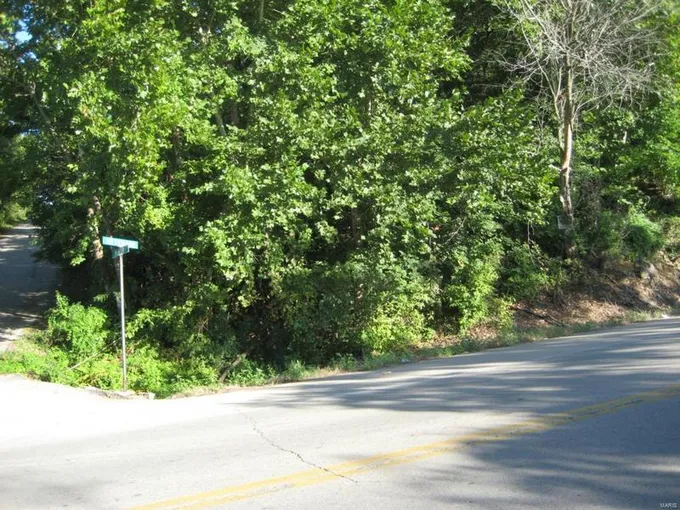 0 Veterans (hwy E ) Drive, De Soto, MO 63020 for Sale