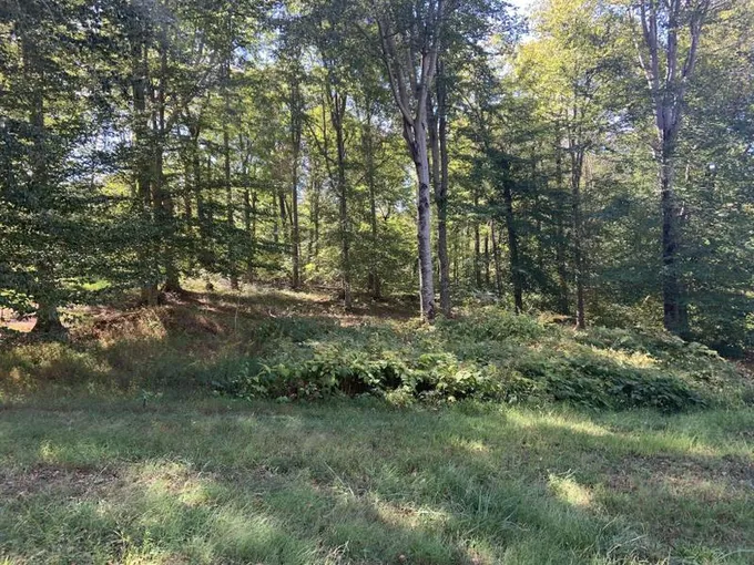Jamestown, Russell County, KY Undeveloped Land, Homesites for sale Property ID: 417008973