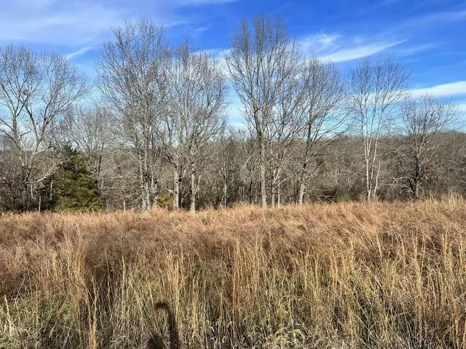 000 Lot 9 Middlegate Place, Branson West, MO 65737  615078650 for Sale
