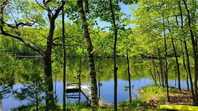 Birchwood, Washburn County, WI Undeveloped Land for sale Property ID: 416350311