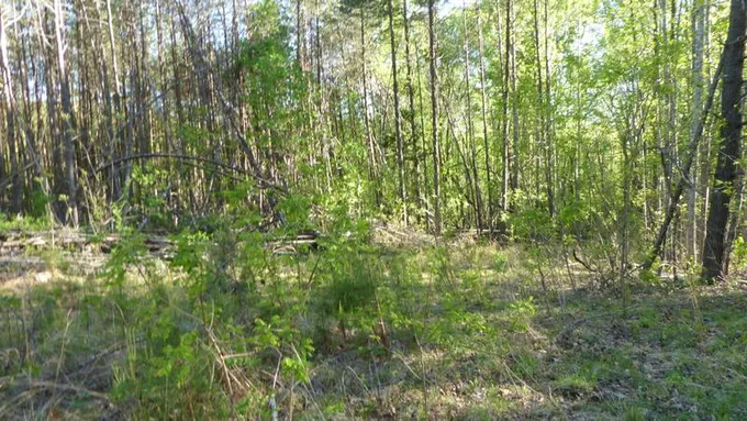 Tract 1 Dusty Lane, Martinsville, VA 24112 for Sale