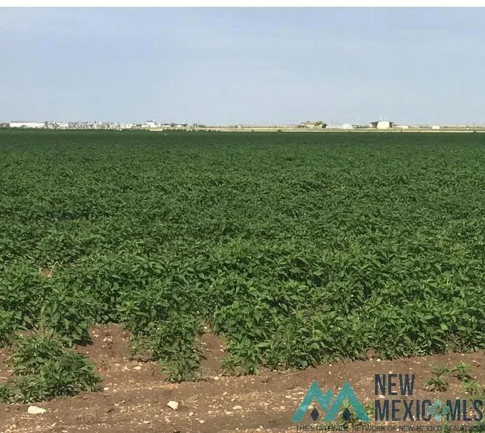 CORNER OF SE PAWNEE ST AND N WORLD DRIVE, Hobbs, NM 88242 Farm For Sale  MLS# 20233729