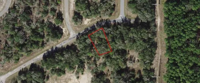 1562 West Delmane Drive, Citrus Springs, FL 34434 for Sale
